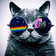 Kitty Cat Wallpapers 4K HD Kitty Cat Wallpapers 4K HD
