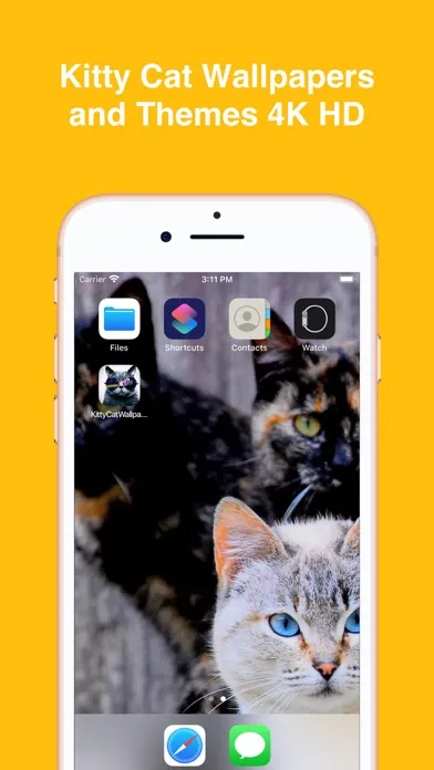 Kitty Cat Wallpapers 4K HD স্ক্রিনশট