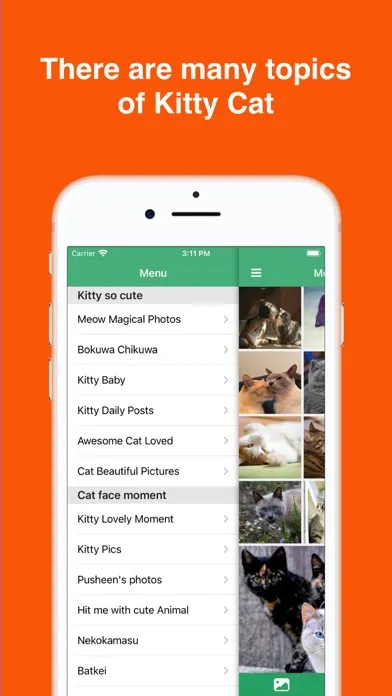 Kitty Cat Wallpapers 4K HD স্ক্রিনশট