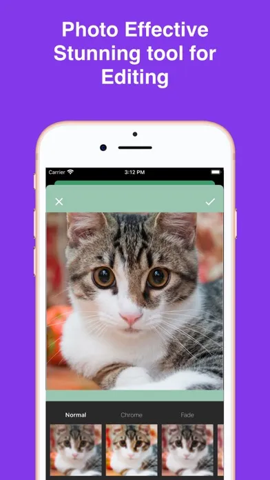 Kitty Cat Wallpapers 4K HD স্ক্রিনশট