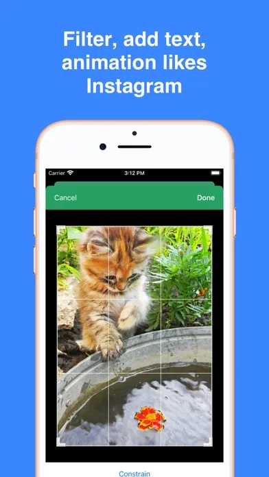Kitty Cat Wallpapers 4K HD স্ক্রিনশট