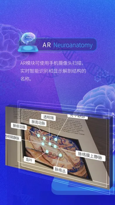 Скриншоты 脑外科XR