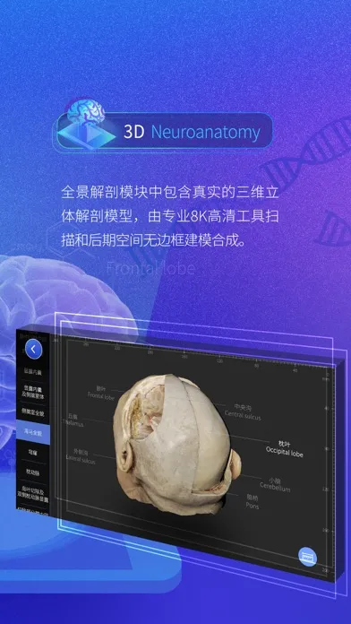 Скриншоты 脑外科XR