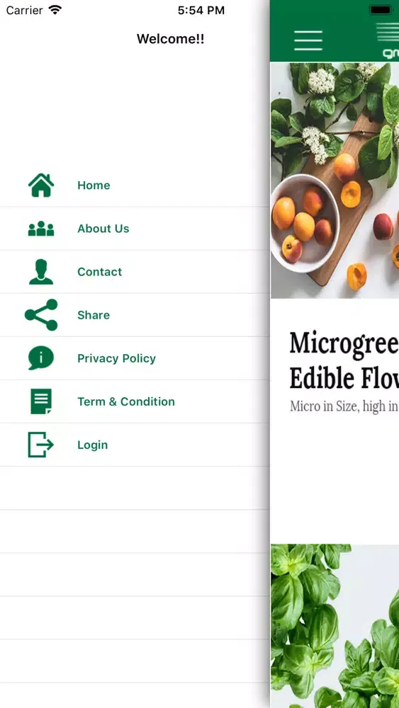 Greendesk Ekran Görüntüleri