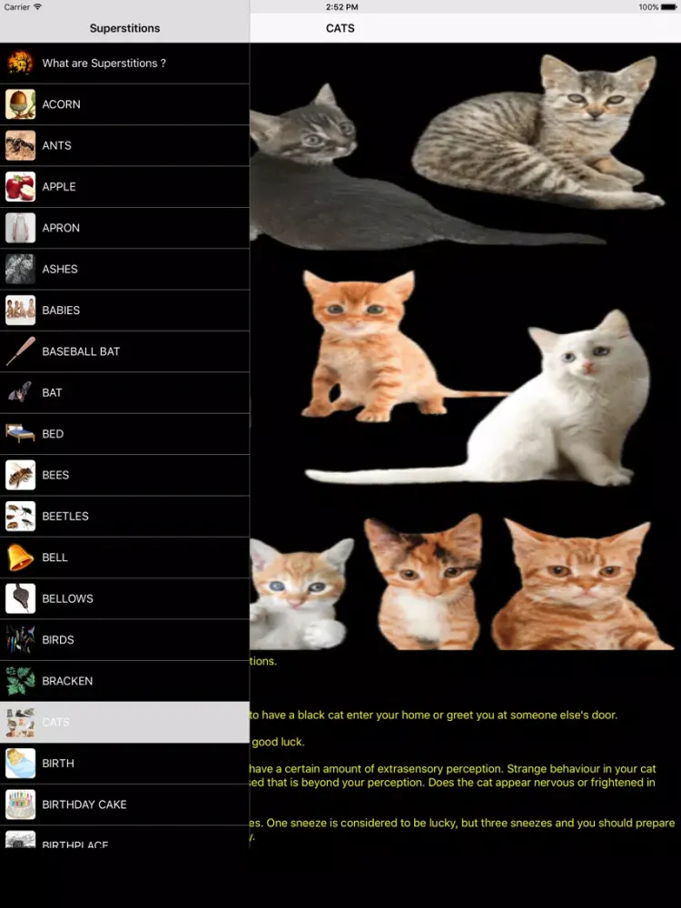 Tangkapan layar Superstitions Worldwide iPad 