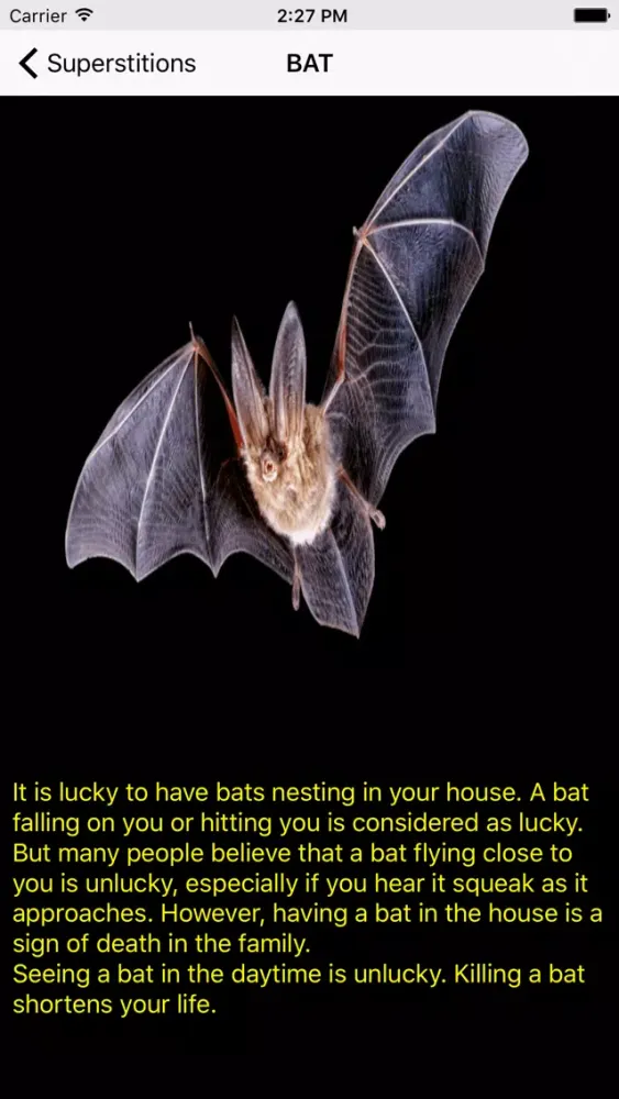 Tangkapan layar Superstitions Worldwide
