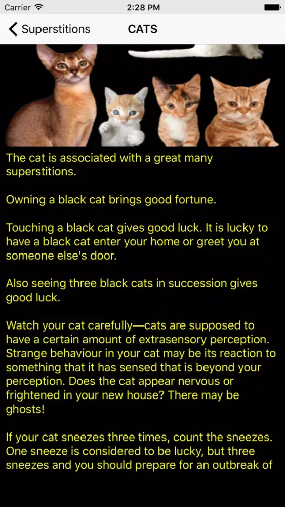 Tangkapan layar Superstitions Worldwide