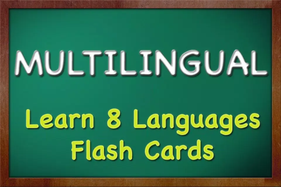 Capturas de tela do Multilingual - Learn 8 languages