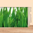 FN digiprint
