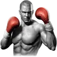 Real Boxing™