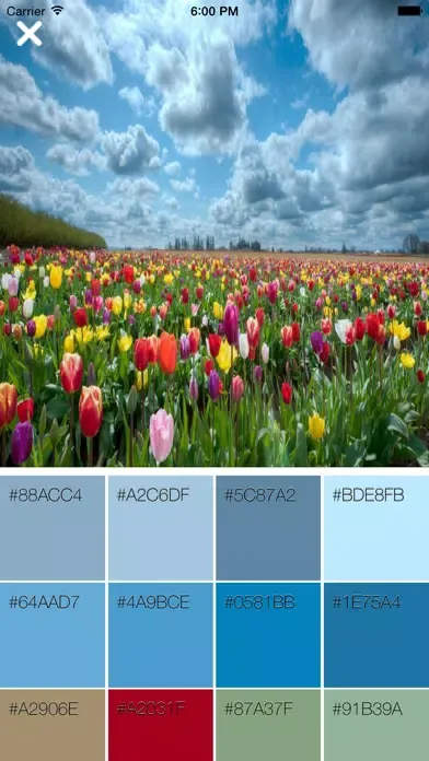 Palette - Colors From Any Image स्क्रीनशॉट