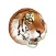 WWF VK