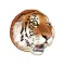 WWF VK