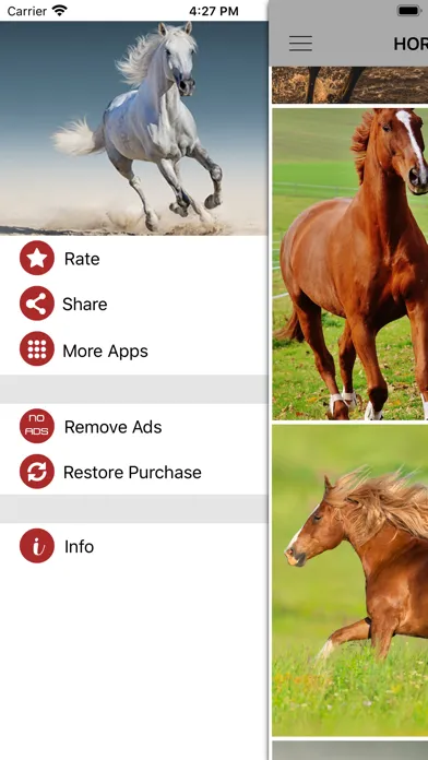 صور Horse Wallpapers & Backgrounds