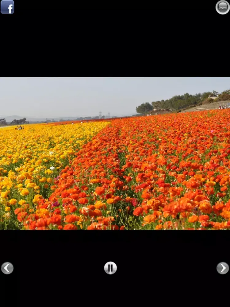 Capturas de pantalla de Social Album iPad 
