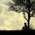 Harmony Wallpaper Harmony Wallpaper