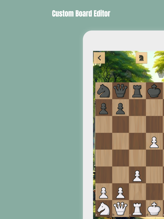تصاویر Chess960 ™ iPad 