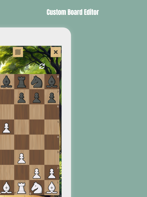 تصاویر Chess960 ™ iPad 