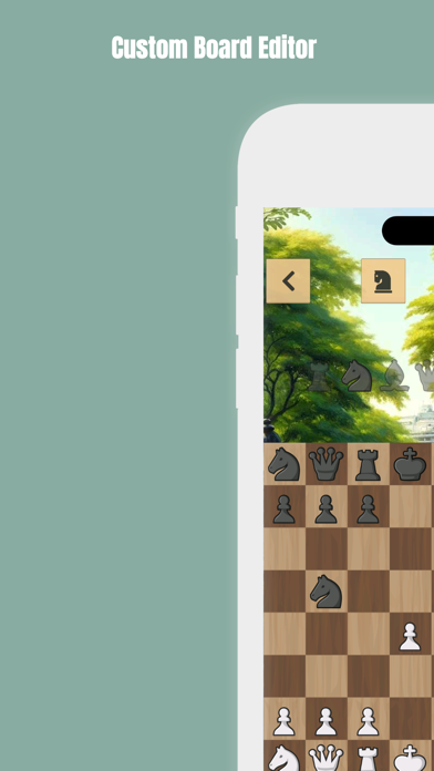 تصاویر Chess960 ™