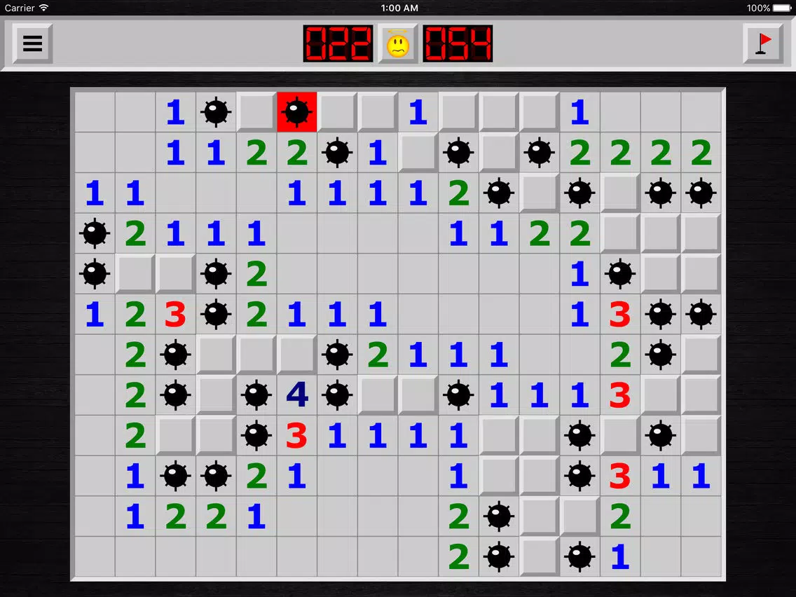 Tangkapan layar Campo Minato - I Classici Giochi ! iPad 