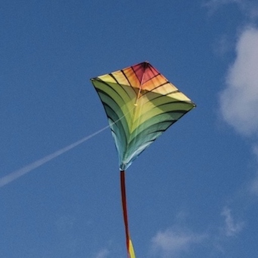 Kite Flying