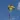Kite Flying
