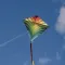 Kite Flying