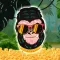 Lucky Gorilla