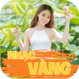Liên Khúc Nhạc Bolero Trữ Tình