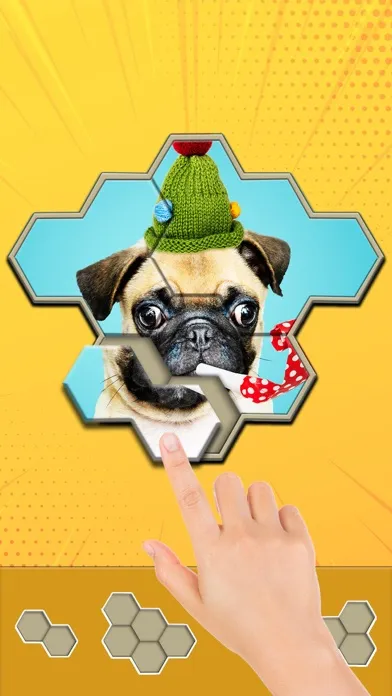 Jigsaw Hexa Block سکرین شاٹس