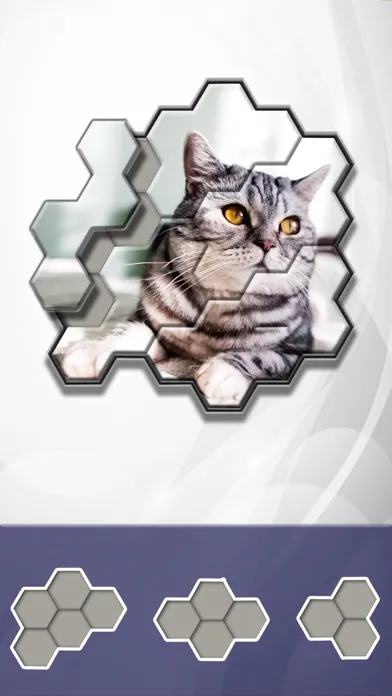Jigsaw Hexa Block سکرین شاٹس