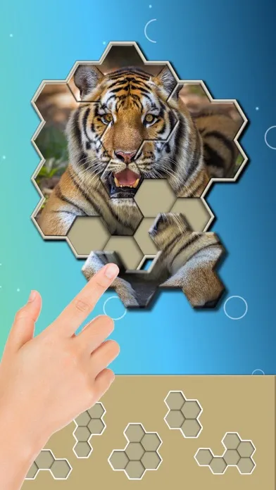 Jigsaw Hexa Block سکرین شاٹس