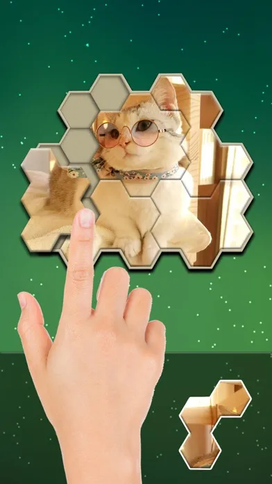 Jigsaw Hexa Block سکرین شاٹس