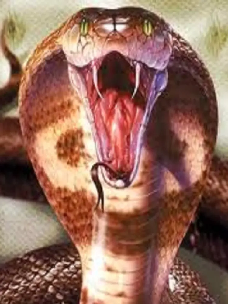 Snake Scare Prank - Prank girls with scary snake iPad  스크린샷