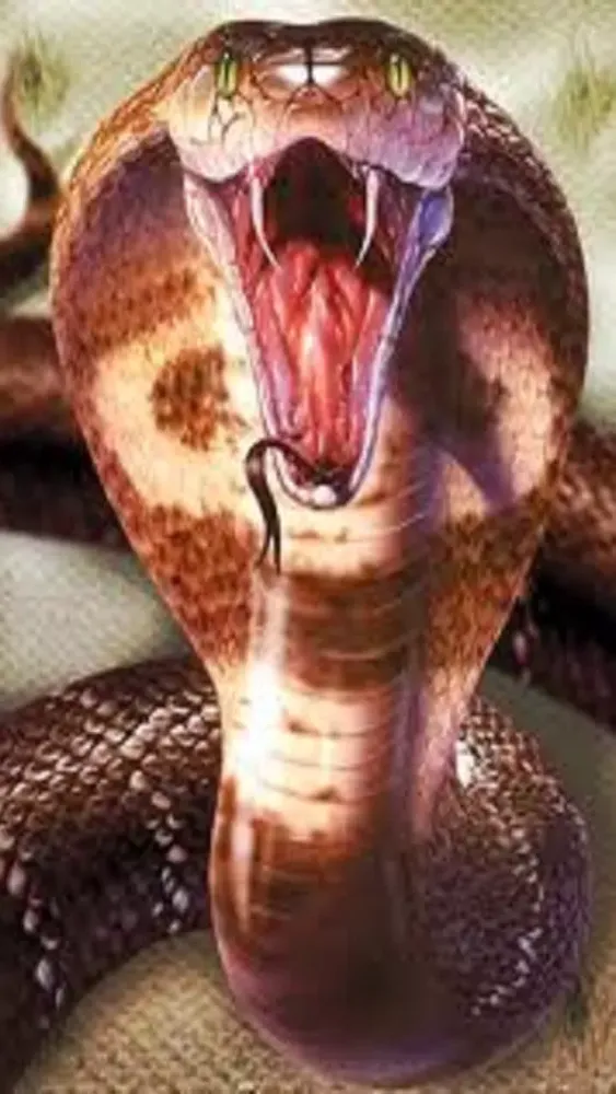 Snake Scare Prank - Prank girls with scary snake 스크린샷