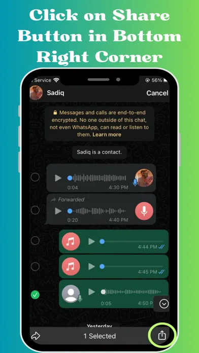 Tangkapan skrin Voice Message Saver