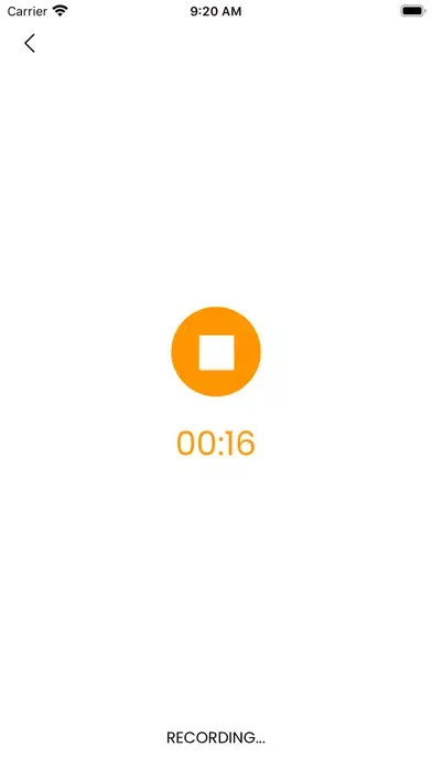 Voice Notes - By Swayam应用截图