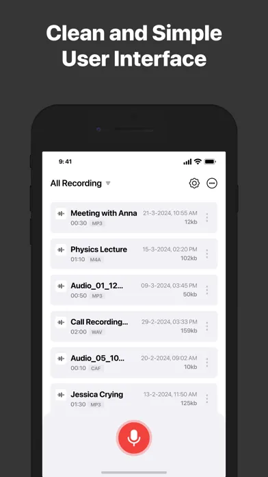 Recorder for iPhone應用截圖