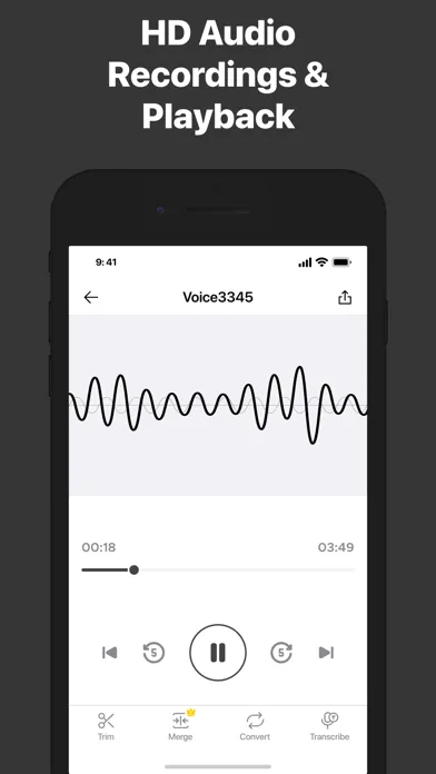 Recorder for iPhone應用截圖