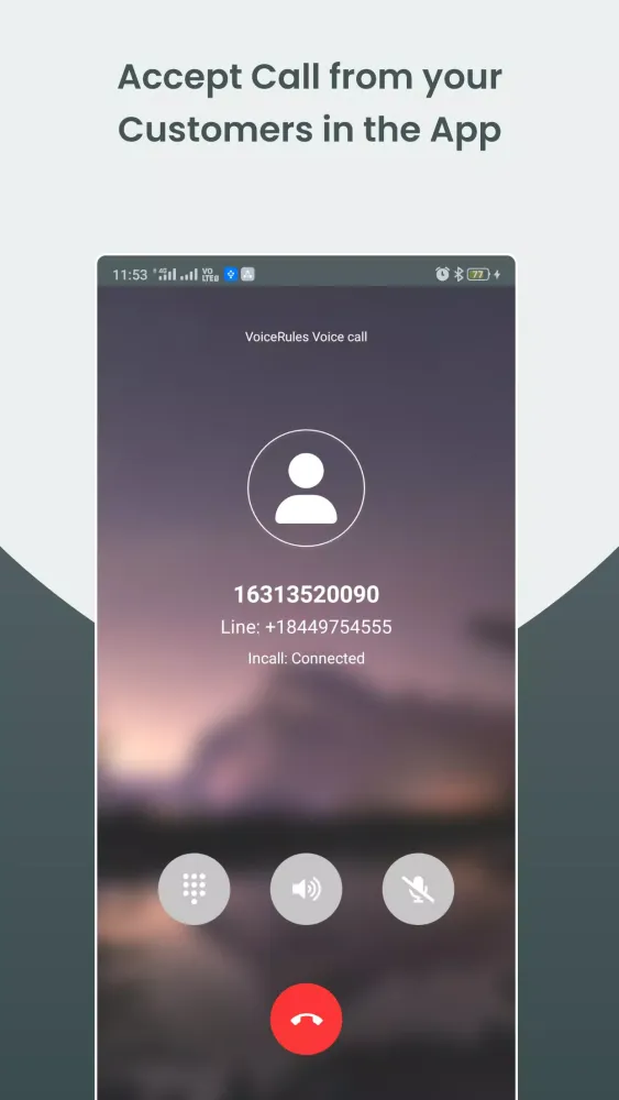 Capturas de pantalla de Business Virtual Phone Number