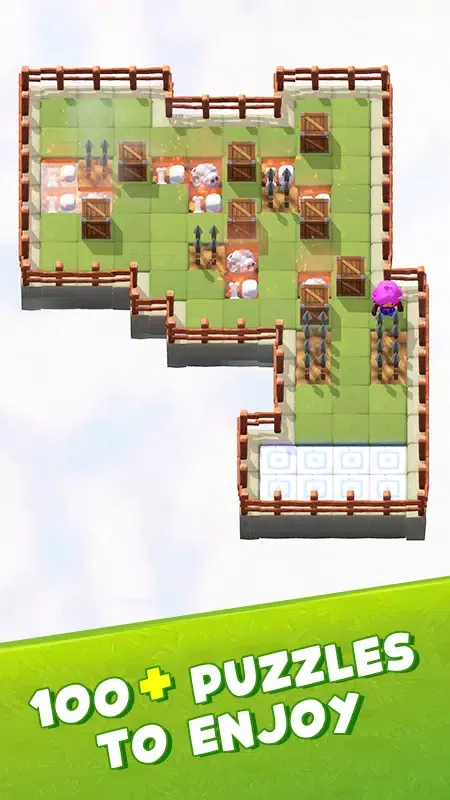 Wood Block : Push Block Puzzle Screenshots