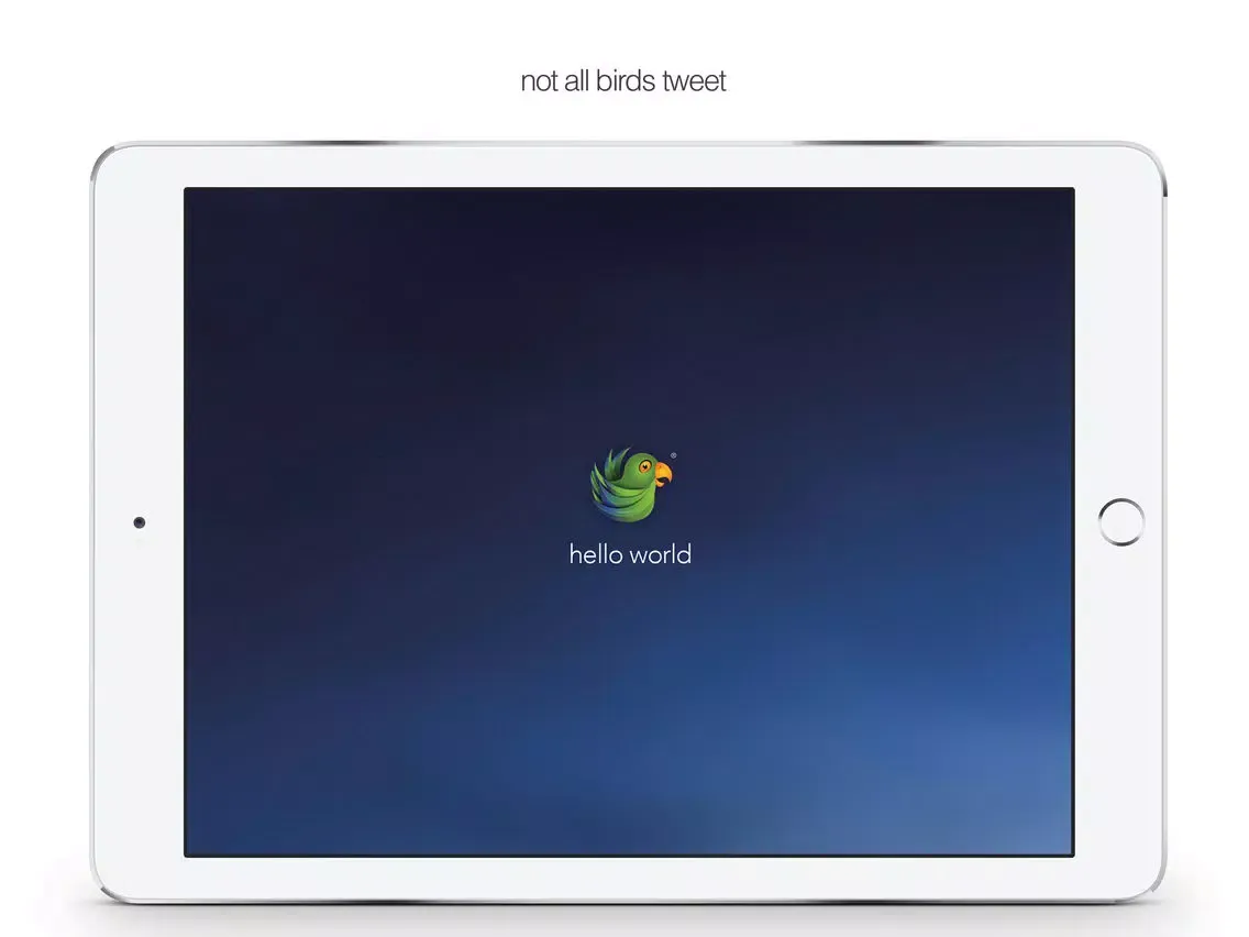 ภาพหน้าจอของ vois iPad 