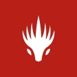 Dragonfire Chronicles