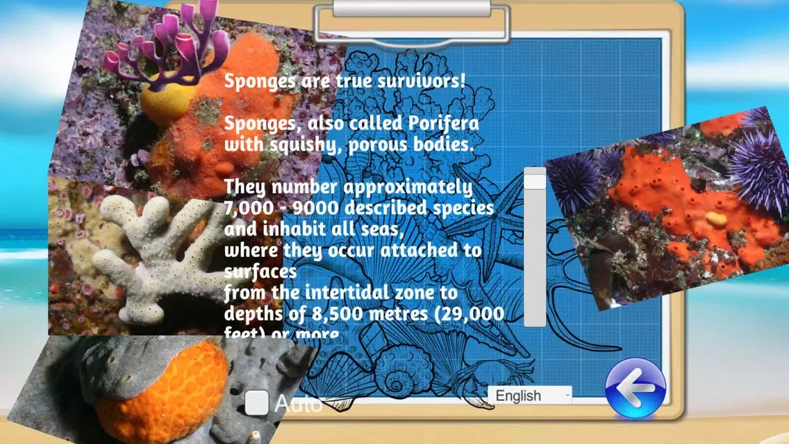 OCEAN EXPLORER - SEA LIFE.OEP应用截图