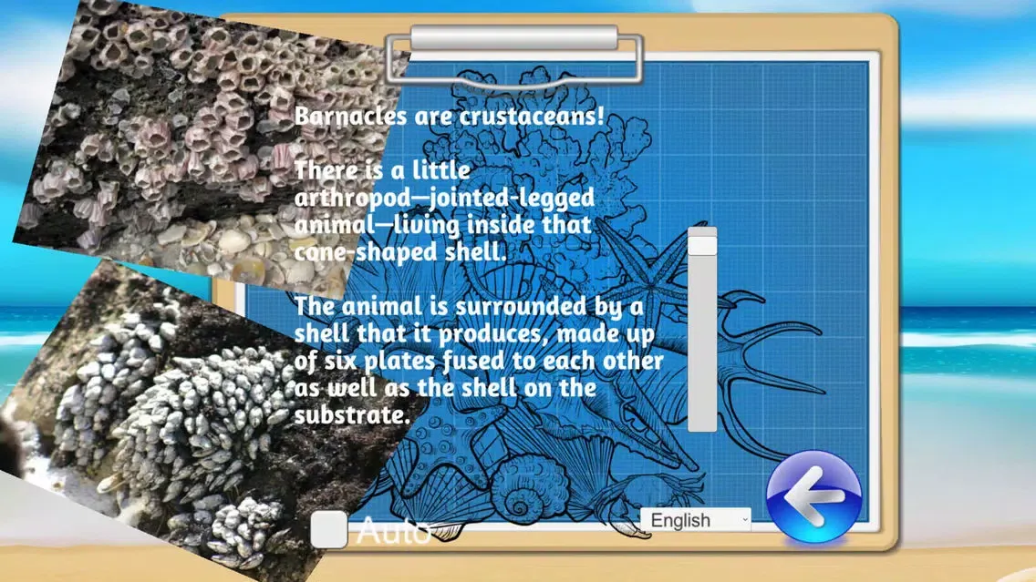 OCEAN EXPLORER - SEA LIFE.OEP应用截图