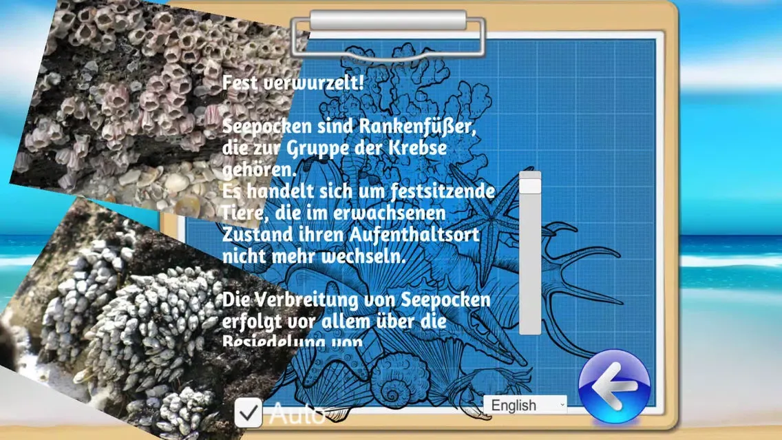 OCEAN EXPLORER - SEA LIFE.OEP应用截图