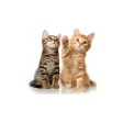 KATZ Radio KATZ Radio
