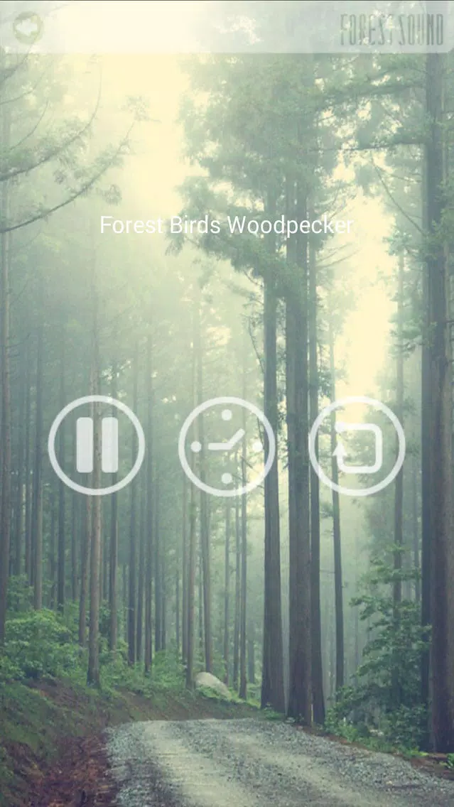 FOREST SOUND - Sound Therapy سکرین شاٹس