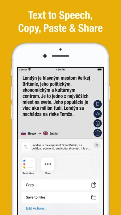 Zrzuty ekranu English to Slovak Translator.