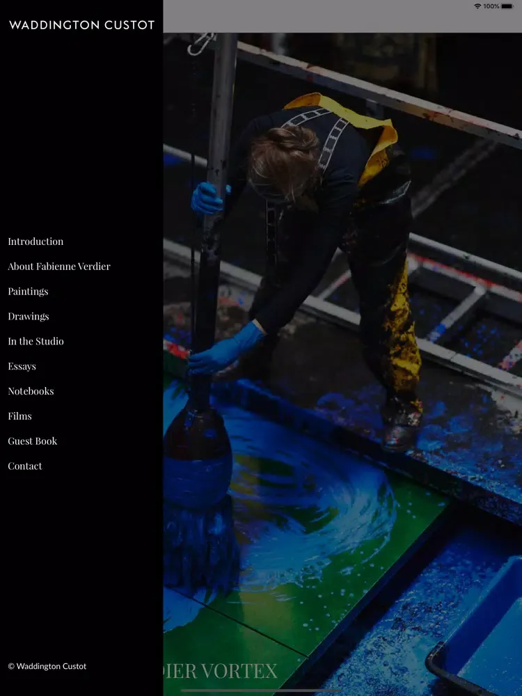 Screenshot di Fabienne Verdier: Vortex iPad 